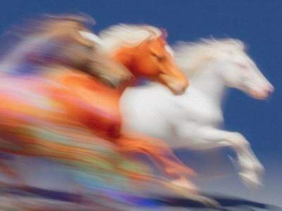 Stallion: February Writing Prompt&nbsp;Responses